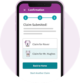 Image of a submitted claim on an iphone