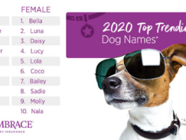 A chart showing the top 10 male and female dog names for 2020