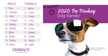 A chart showing the top 10 male and female dog names for 2020