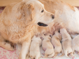 Untitled design (34)