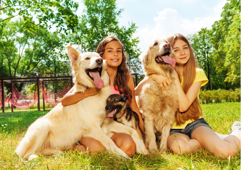 Happy dogs and pet owners