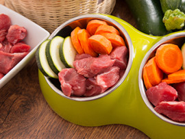 Raw-Meat-and-Vegetables-in-Dog-Bowl