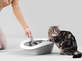 This human is trying to collect urine from its' cat's litter box, but what is the correct way of collecting a urine sample from a cat? Is it straight from the litterbox? Should it be empty or should it have litter?