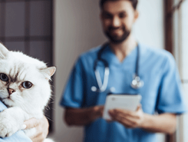 woman with cat at veterinary specialist