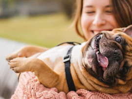 A happy dog that is cuddled by its human owner, both feeling giddy and excited for their newly acquired pet insurance.