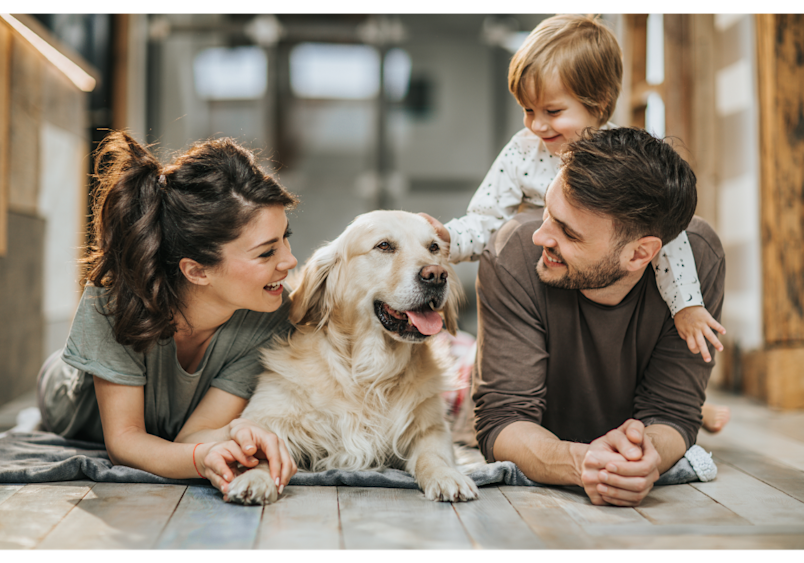 This happy family with their golden retriever represents the peaceful home environment that pet owners want to protect when learning how to get rid of dog fleas effectively.