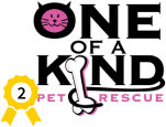 OneofaKind logo EmbraceCLE 2021