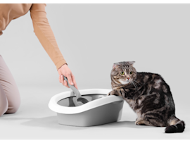 Monitoring your cat's bathroom habits through regular cleaning helps answer common questions like "how often should cats poop" and "how many times a day should a cat poop" - with healthy cats typically defecating once or twice daily.