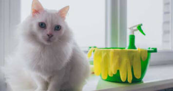 Pet-friendly cleaning products