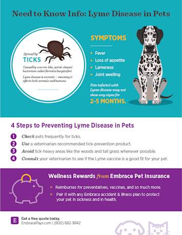 This image is a helpful infographic that details what pet owners need to know about Lyme Disease in Pets. It enumerates the symptoms of Lyme disease in dogs, and 4 steps to preventing Lyme Disease in Pets, including information all about Wellness Rewards that is helpful to alleviate costs in case of Lyme Disease.