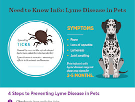 This image is a helpful infographic that details what pet owners need to know about Lyme Disease in Pets. It enumerates the symptoms of Lyme disease in dogs, and 4 steps to preventing Lyme Disease in Pets, including information all about Wellness Rewards that is helpful to alleviate costs in case of Lyme Disease.