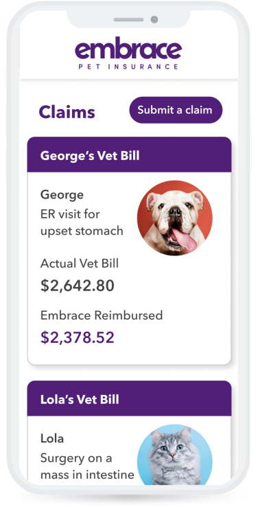 A mobile phone showing the embrace pet insurance mobile app to manage their pet insurance plan