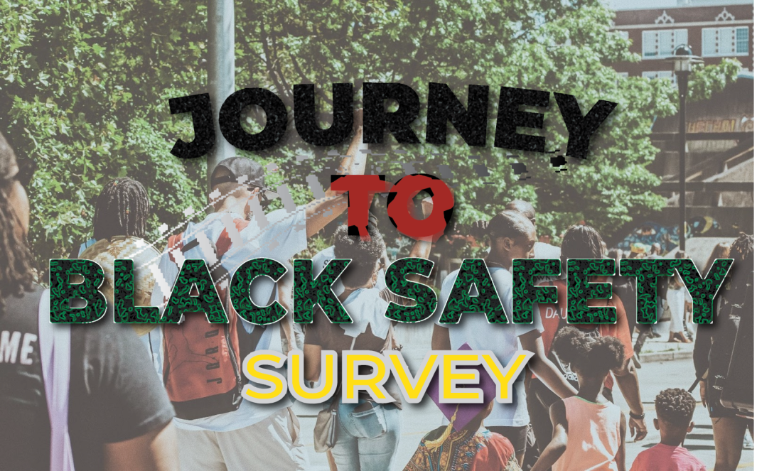 Journey to Black Safety Survey