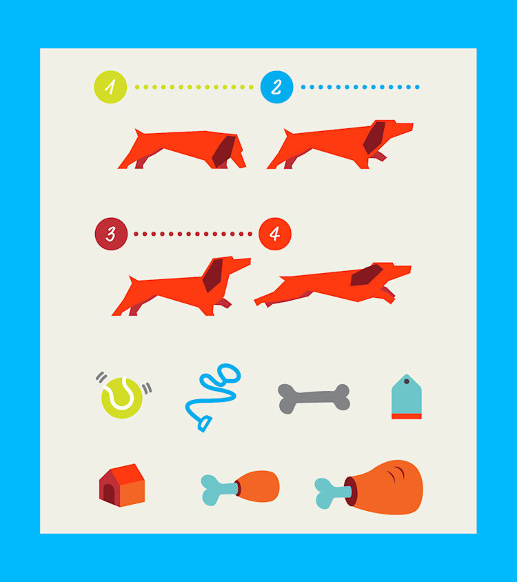 GetYourGuideDog