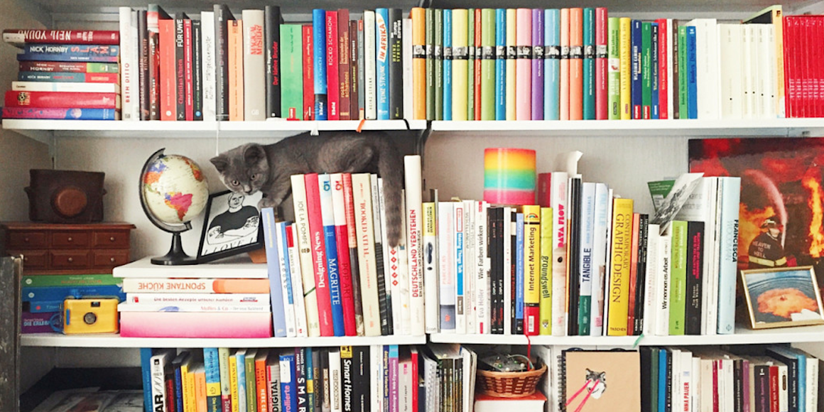 Zeit Campus Online