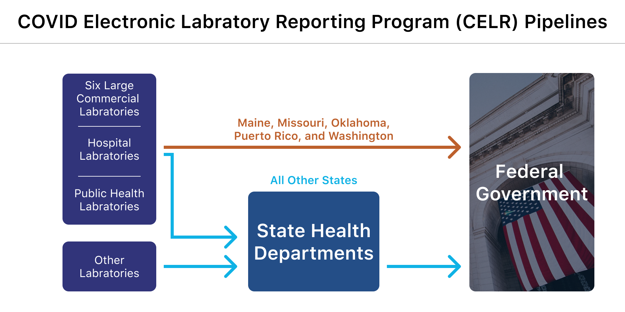 A flowchart shows the path of testing data from laboratories to the federal government. In five states—Maine, Missouri, Oklahoma, Puerto Rico, and Washington—the data flows directly from a portion of laboratories to the federal government. In all other states, the data goes from laboratories to the state health department before making its way to the federal government.