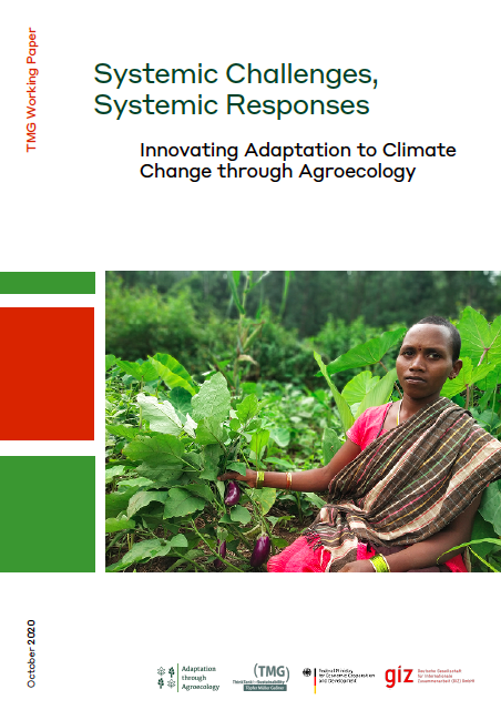 Systemic Challenges, Systemic Responses: Innovating adaptation to climate change through agroecology