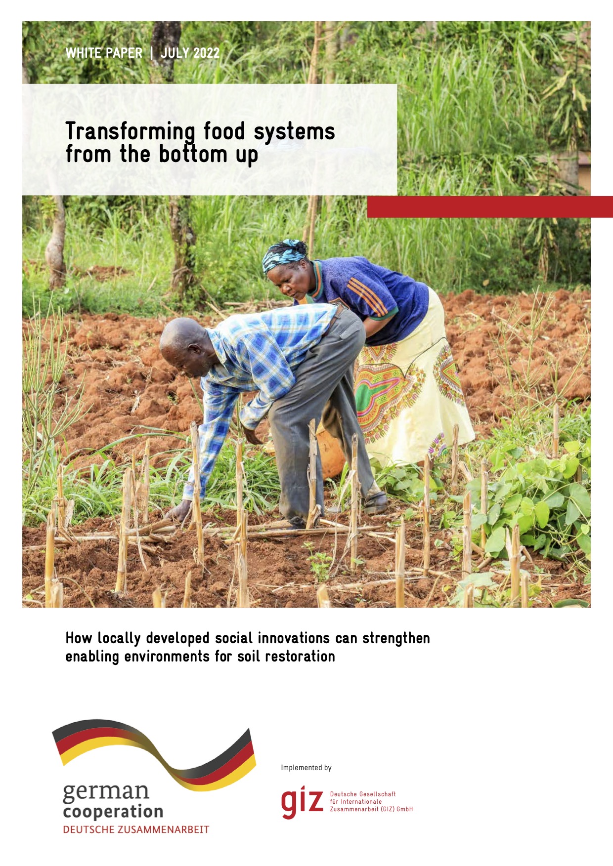Transforming food systems from the bottom up
