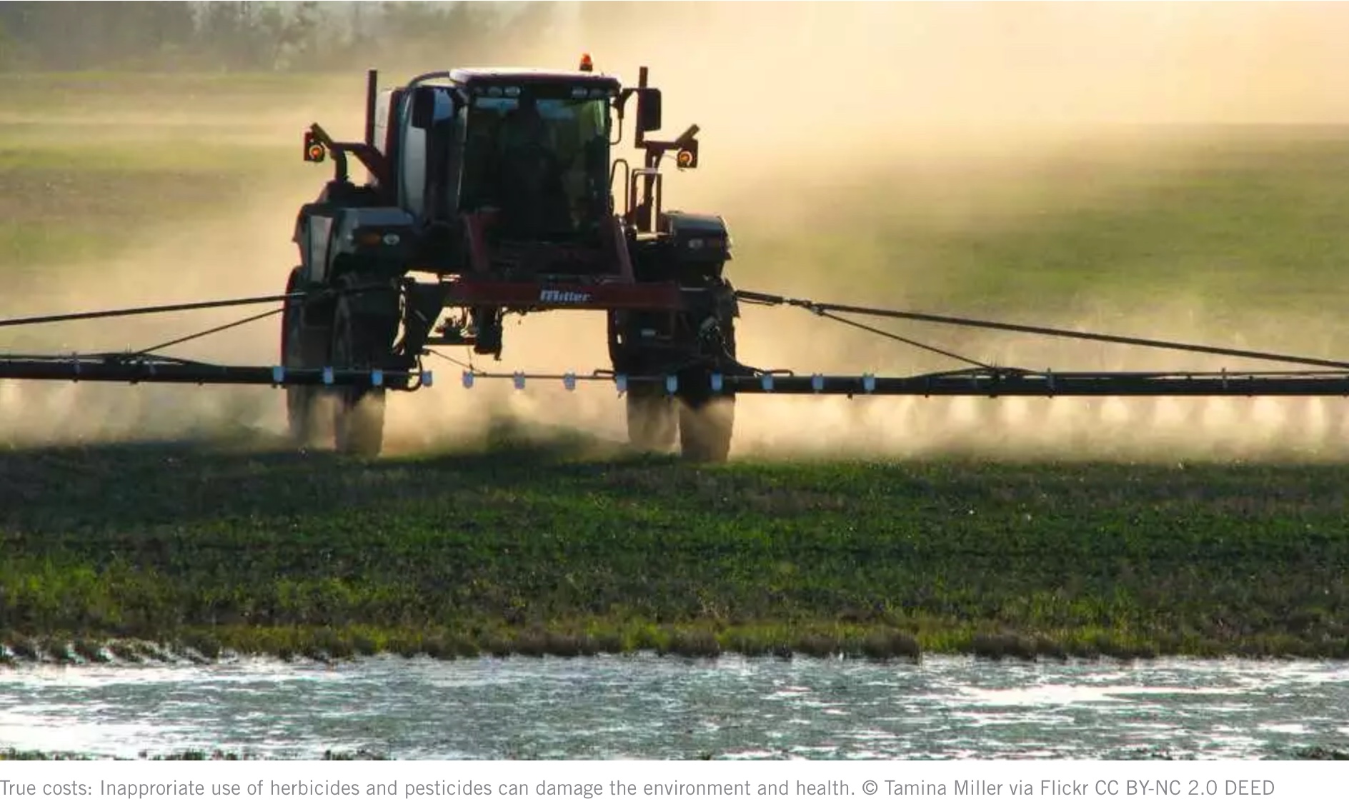 Hidden Costs of Food: Sustainable Change Needs Sustainable Economic Systems