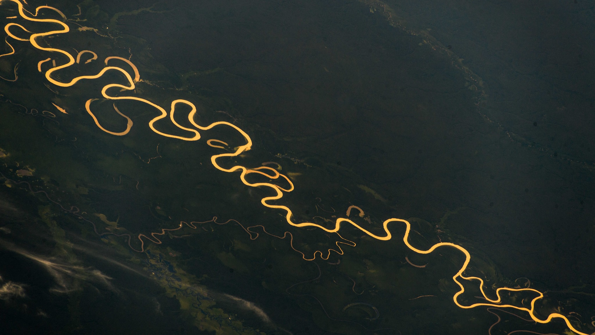 GLF Amazonia Digital Conference: The Tipping Point
