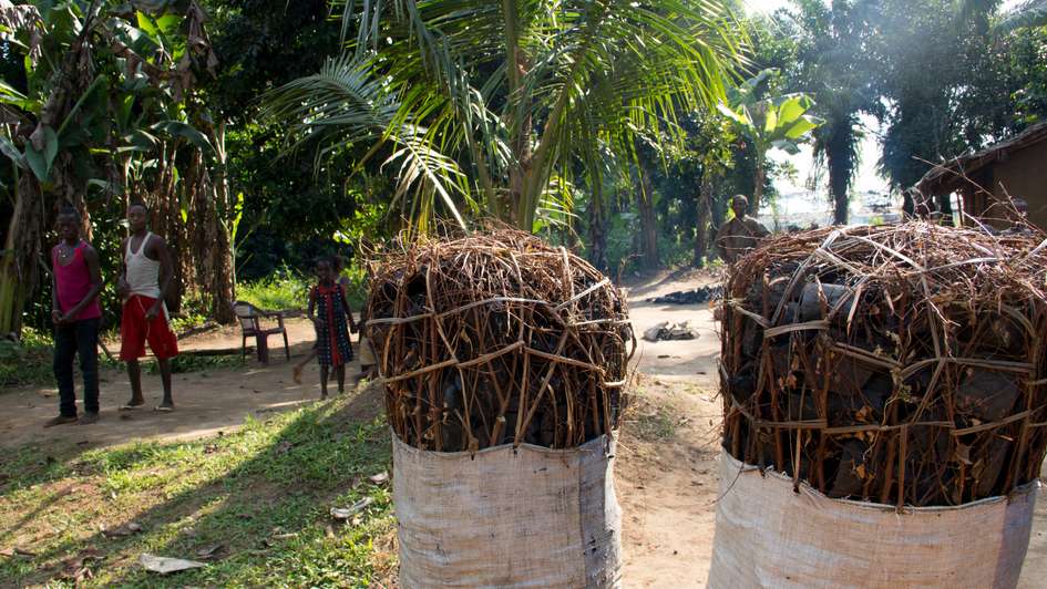 Firewood - the blank space in the debate on food security