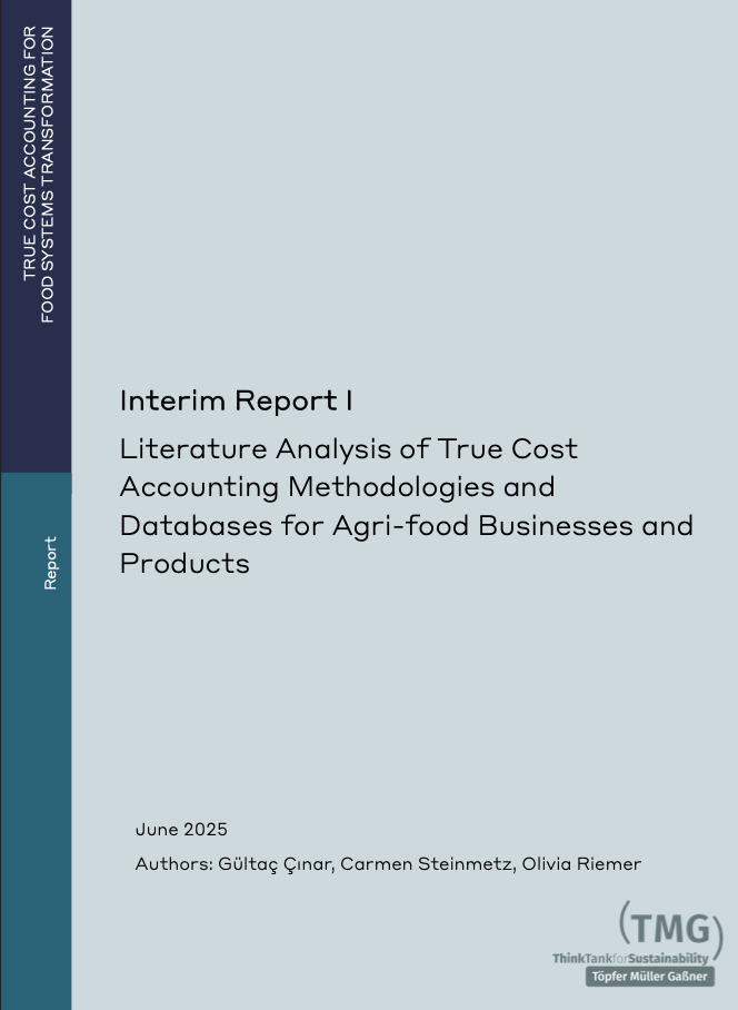 Literature Analysis of True Cost Accounting Methodologies and Databases for Agri-food Businesses and Products