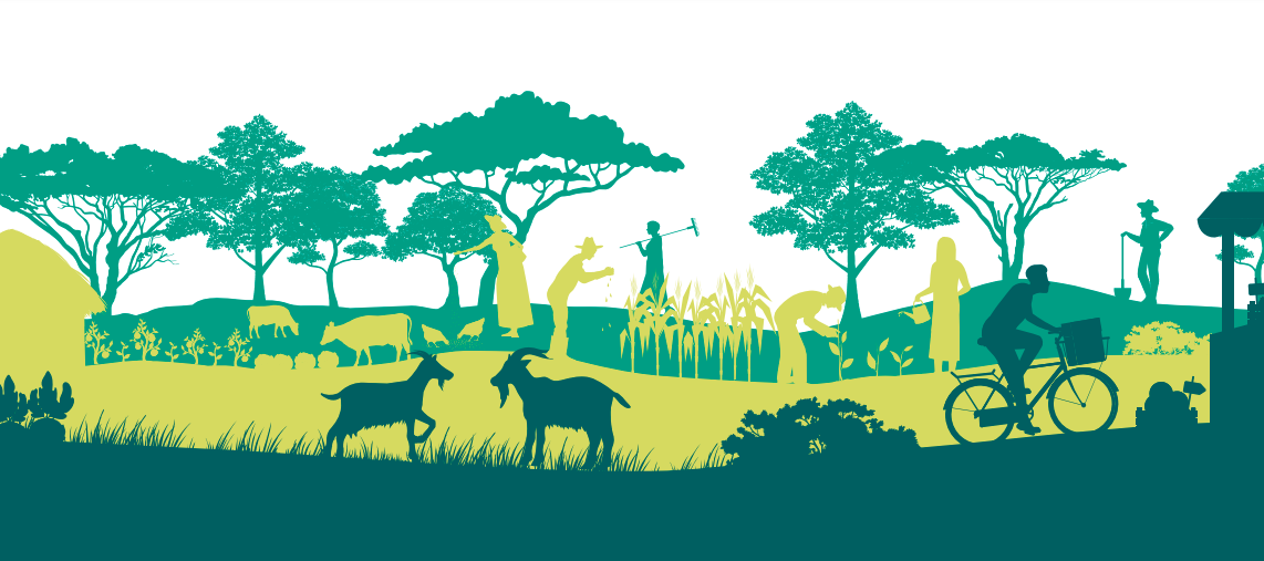 Policies for Agroecology - a TPP online event