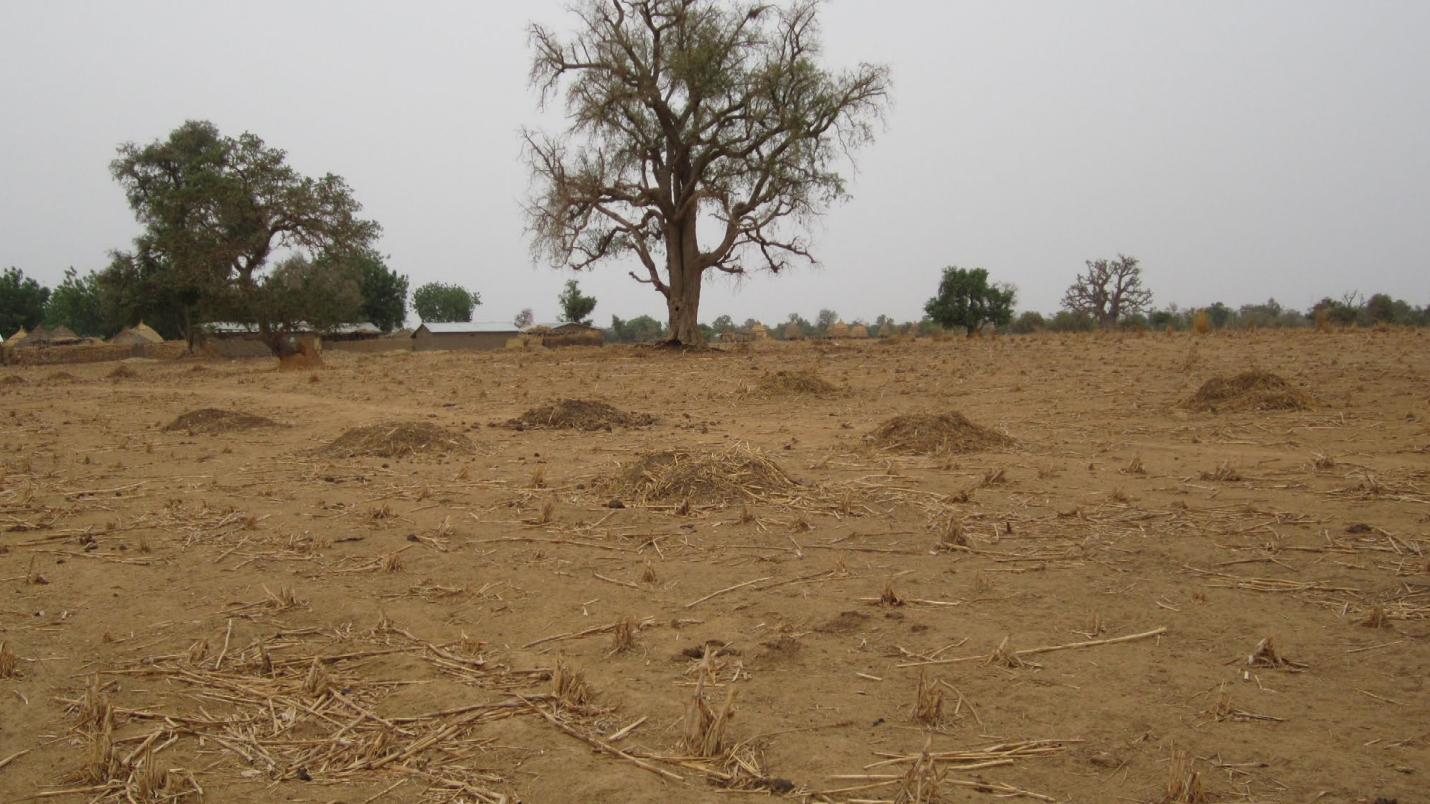 Creating an enabling environment for green recovery: Global Soil Week 2021