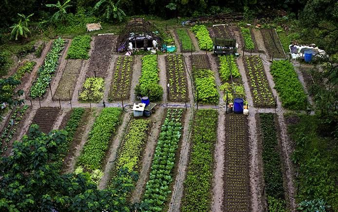 UN Food Systems Summit: New date announced