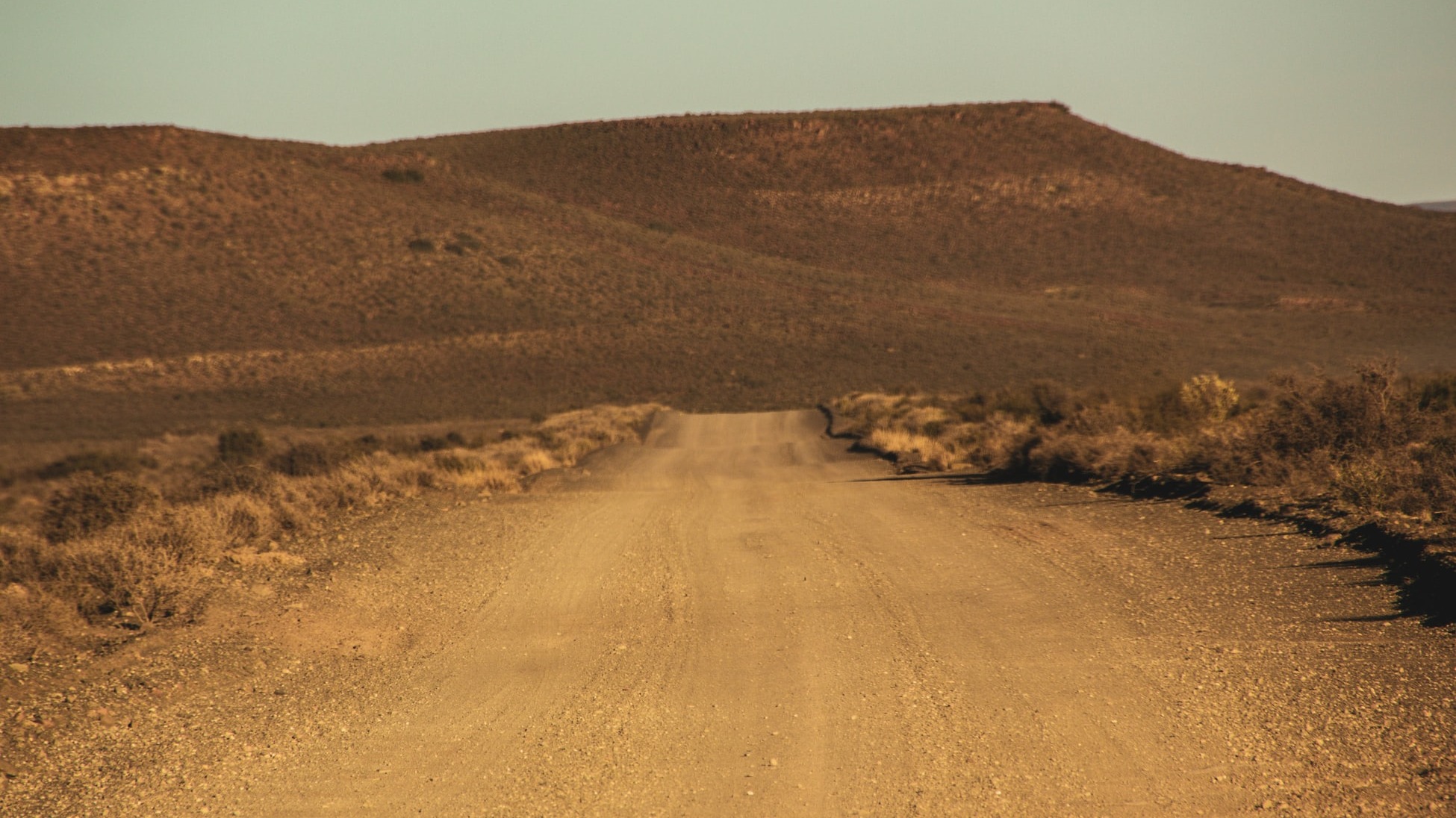 High-level dialogue on desertification, land degradation and drought