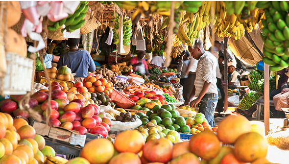 Finding the ‘True Value’ of Food Can Drive Innovation Across Sectors