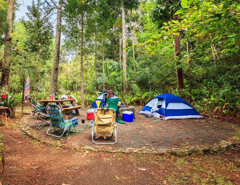 Camp Sites Near Bellevue |