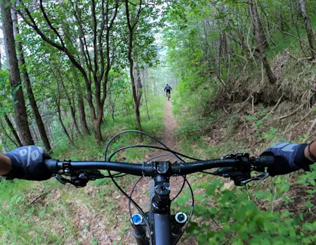 Bettys Bikes Vermont Mountain Biking |