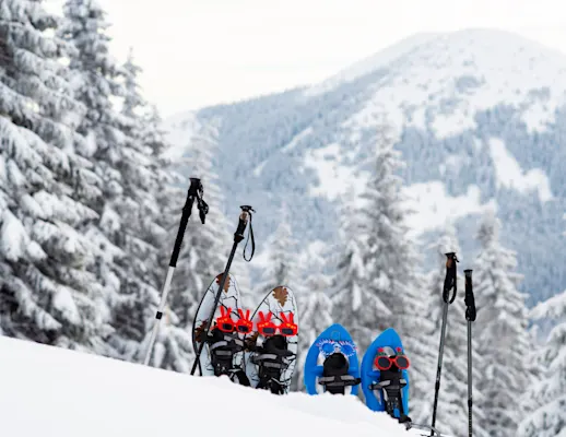 Snowshoe Gear and Trekking Poles |