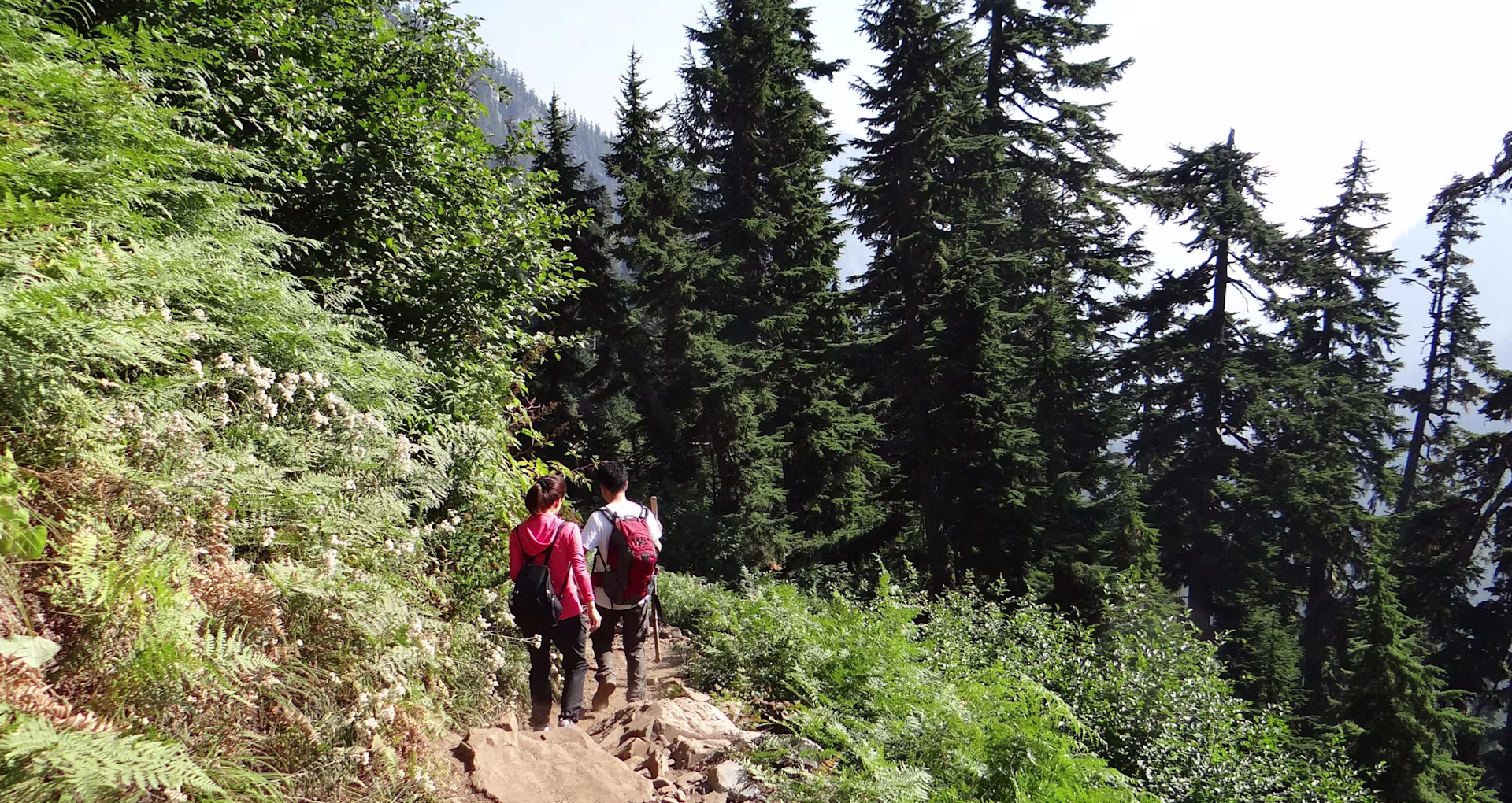 Hiking