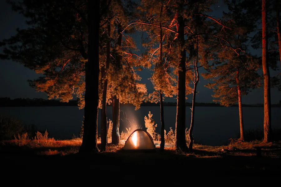 Palm Spring Camping | Camping near Palm Springs offers a fantastic way to experience the diverse natural beauty of Southern California, from the iconic Joshua Trees to the dramatic mountains and vast desert landscapes.
