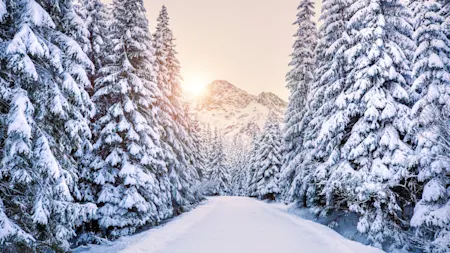 Winter Landscape |