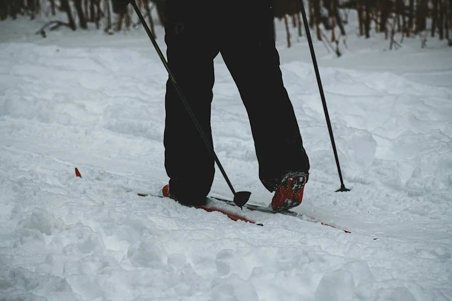 snowshoeing adventure | Discover the magic of winter with a snowshoeing adventure through serene, snow-covered landscapes.