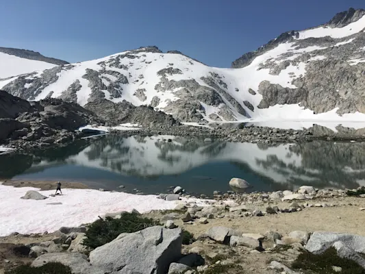 Spring in Washington | Spring in Washington