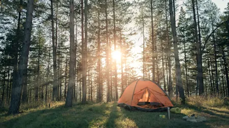 Summer Camping |