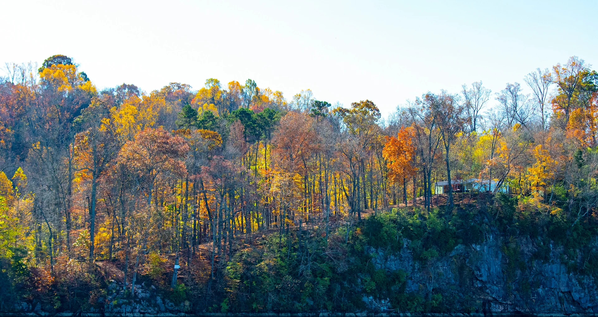 Knoxville | A picture of the knoxville outdoors