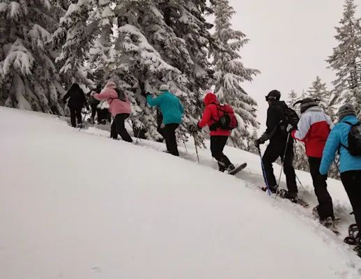Stevens Pass snowshoeing |
