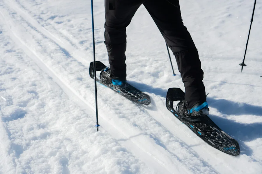 snowshoeing |