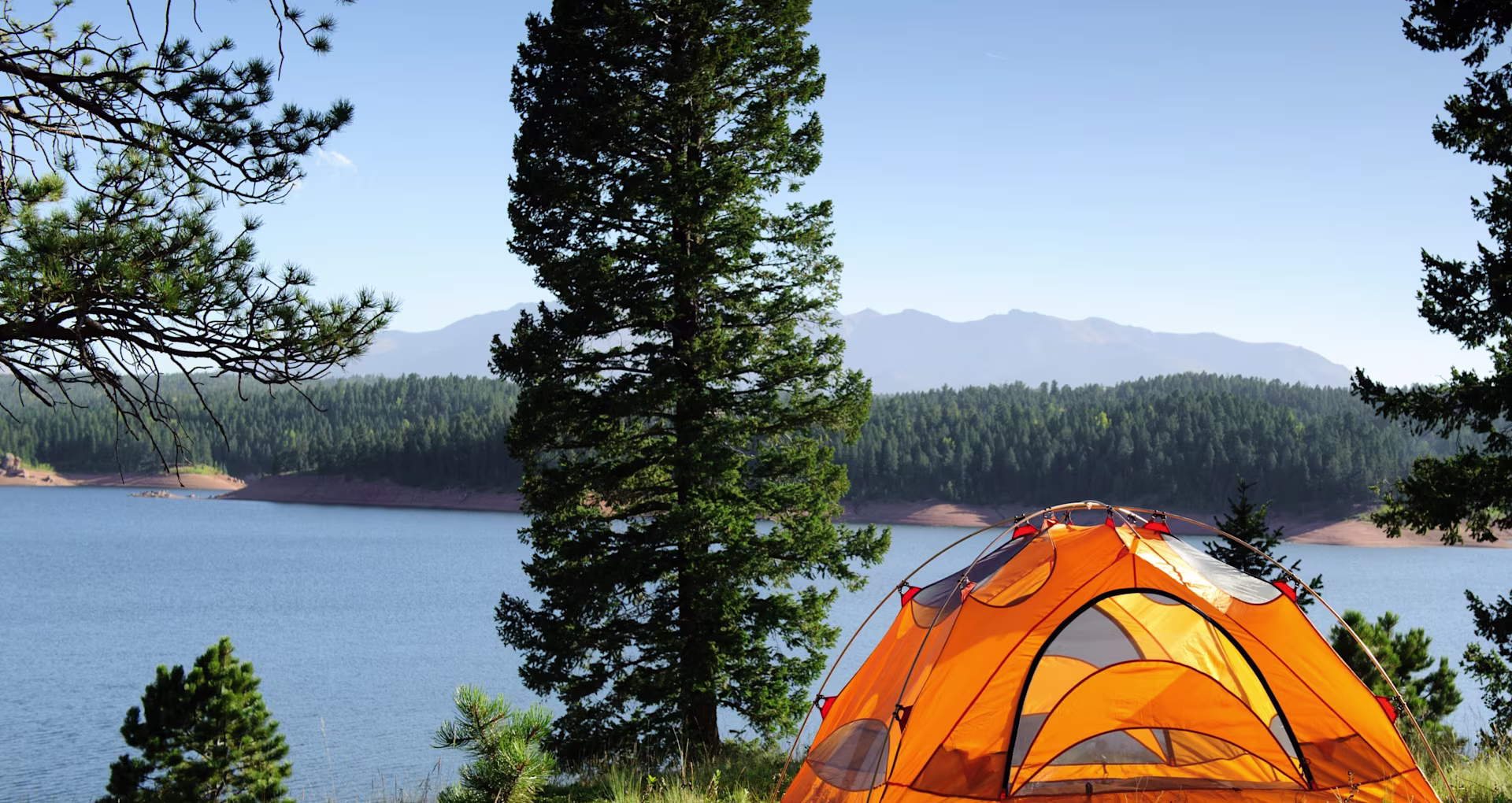 Camp