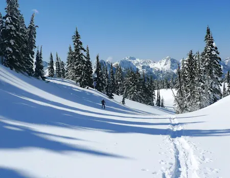 Prepare for Snowshoeing Around Seattle |