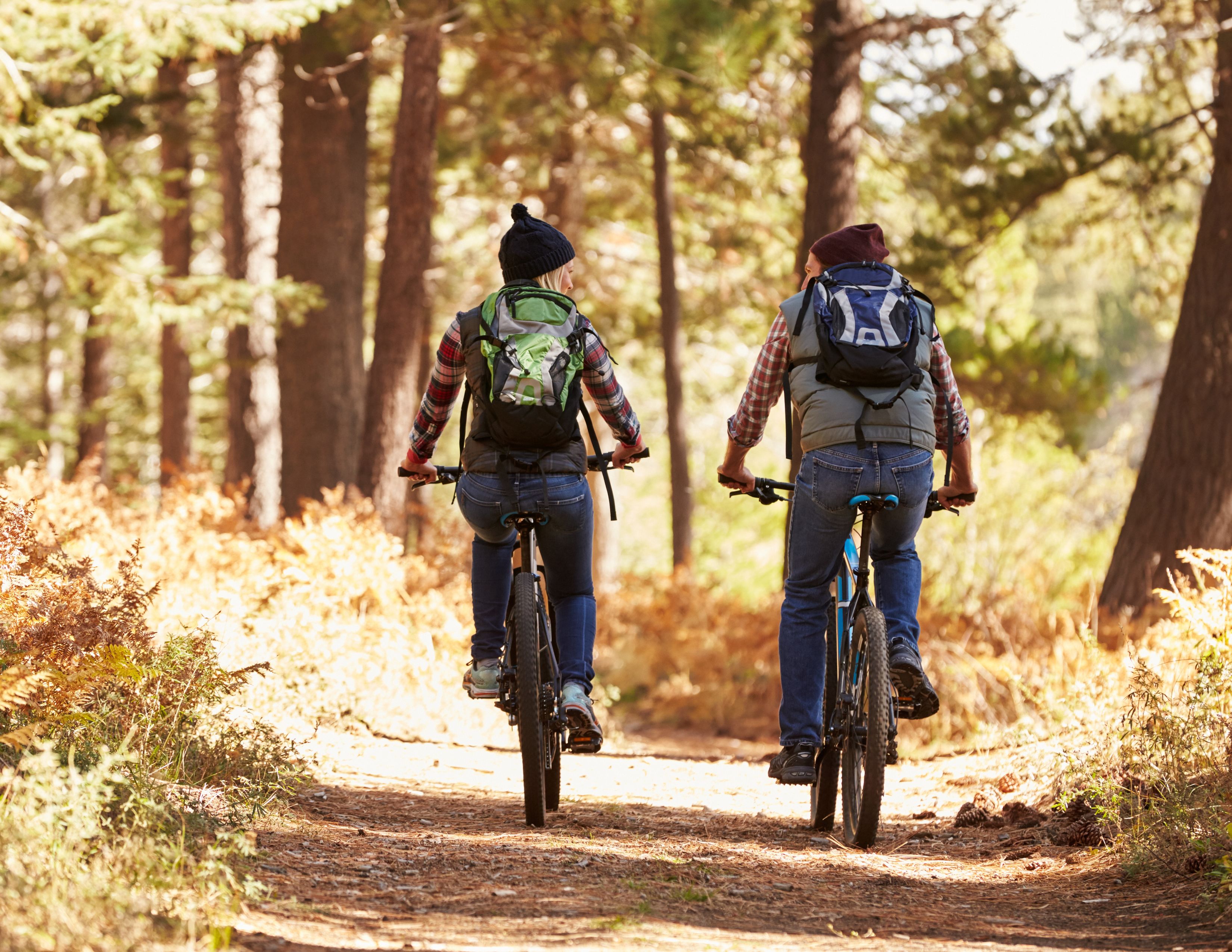 Bike Trail Near Tacoma |
