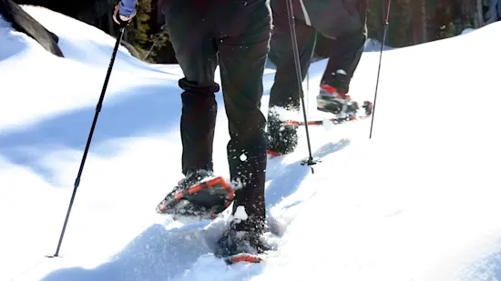 Snowshoeing Trails |