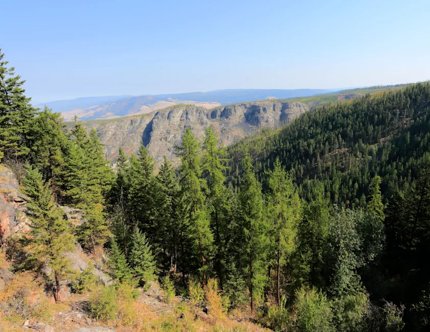 Bellevue Forest Hiking Views Scenery |