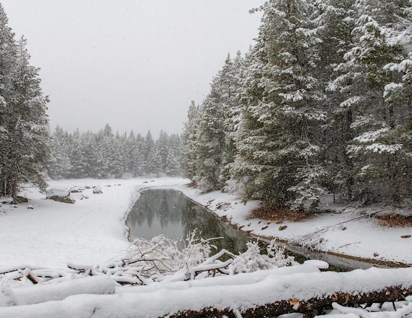 Snoqualmie Winter Snowshoeing Scenery |