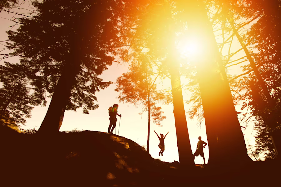 Discover top Knoxville hiking trails!  | Discover top Knoxville hiking trails! Explore the Urban Wilderness, House Mountain, greenways & dog-friendly paths for all skill levels.